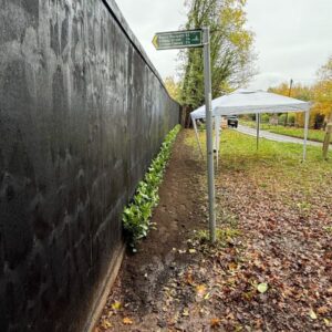 bedding plants on public property