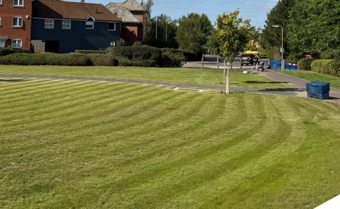 commercial community playing fields grass cutting