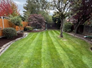 full garden landscape customer based in ruislip