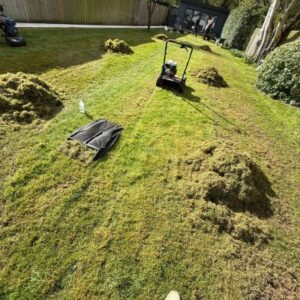 grass and lawn mowing