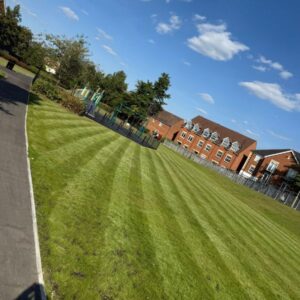 grass cutting of public fields