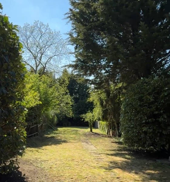 landscape design and gardening in a typical english london garden