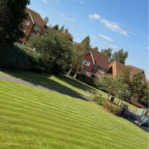 lawn mowing of park areas for councils
