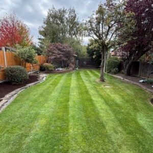 lawn mowing with lines