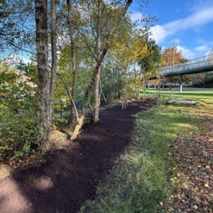 plant bedding installed on public park land