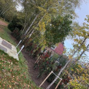 public access gardens maintained