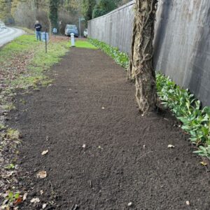 public green areas cleared
