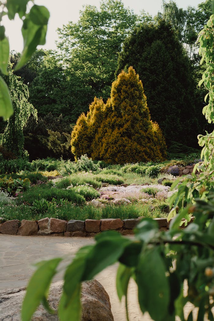 Serene view of a botanic garden with vibrant green trees and shrubs in Minsk, Belarus.